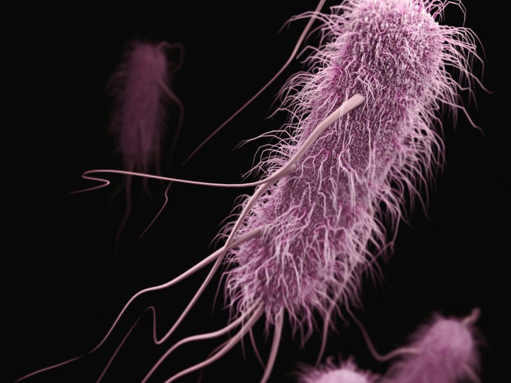 تولید فاژهای مؤثر ضد E. coli توسط مدل هوش مصنوعی Evo 2 در دانشگاه استنفورد